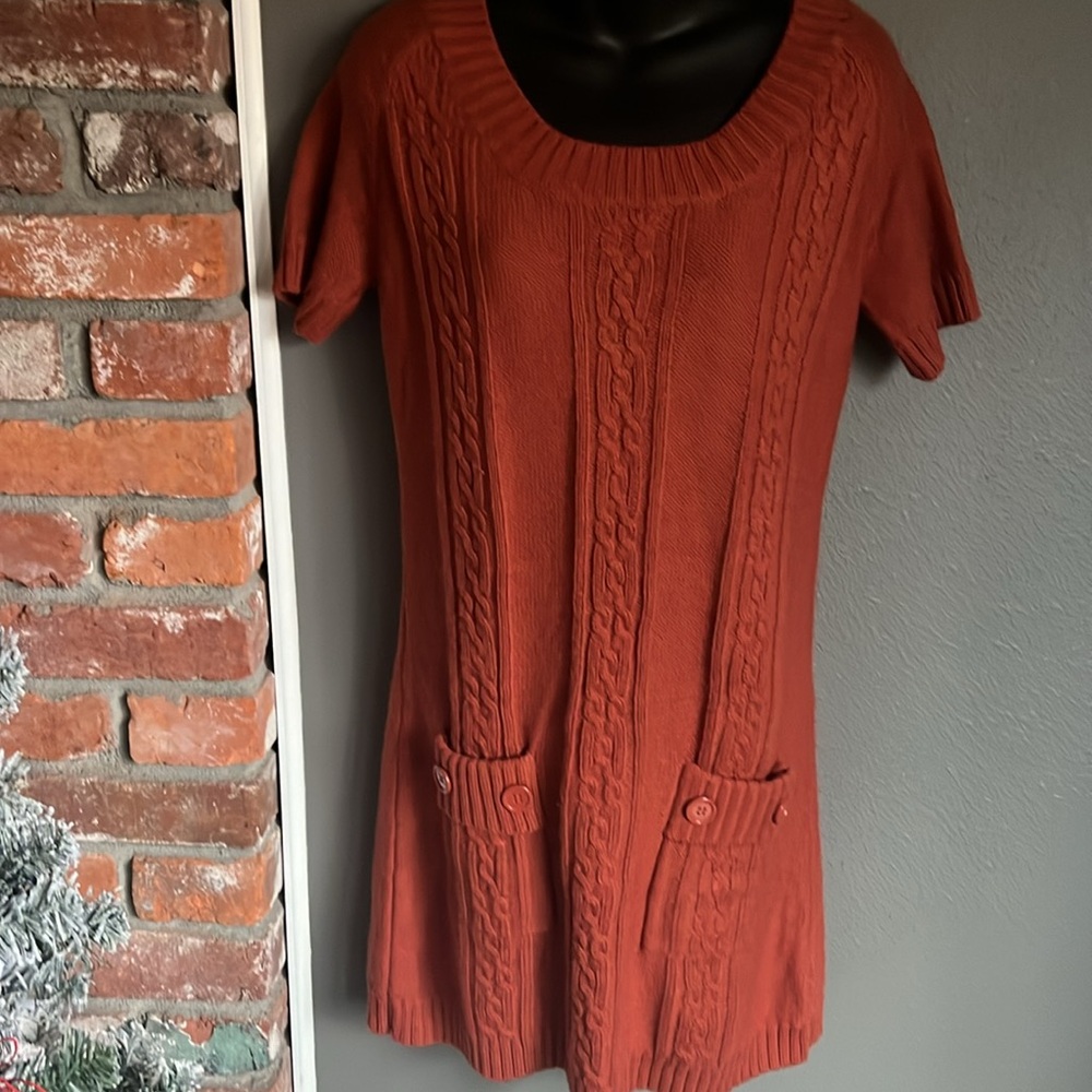 Liv Sweater Dress ~Orange~size L